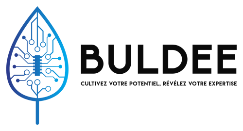 BULDEE LOGO
